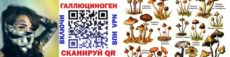 Галлюциногенные грибы MAGIC MUSHROOMS  blacksprut вход  Семикаракорск 